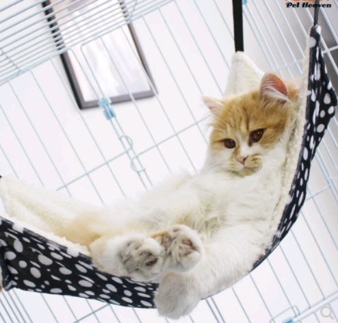 Cat cat hammock hanging nest cat cage with hammock hanging cat bed cat litter cat swing warm hanging bed four seasons cat mat