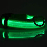 Nylon LED Pet Dog Luminous Collar Night Safety Flashing Glow in Dark Dog Cat Leash Adjustable Pet Supplies