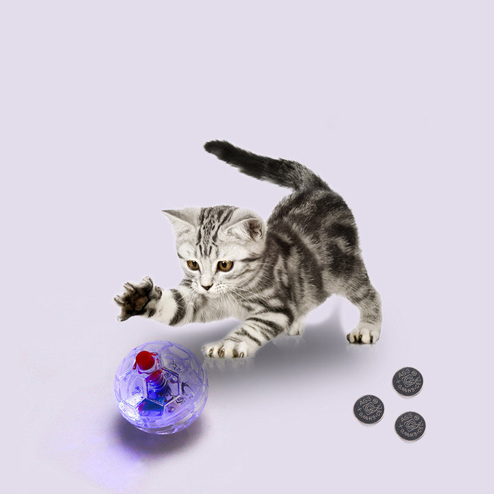 Cat Dog Toy Ball New Fashion Glowing Transparent Plastic Ball Pet Interactive Toy Funny Training Cat GlowBalls Toys Pet Products