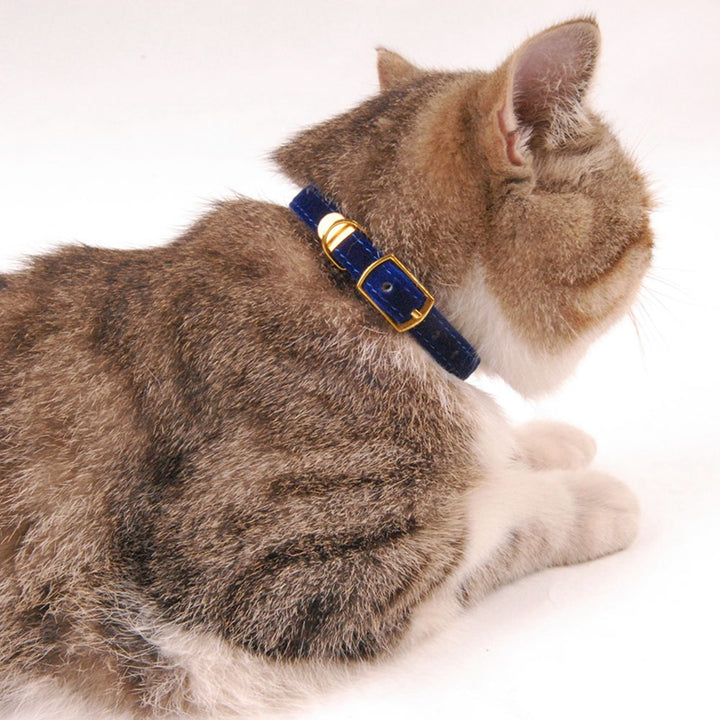 Pet supplies cat collar