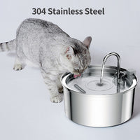 Stainless Steel Water Dispenser Automatic Fountain