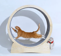 Special Toys For Cat Treadmill Roller