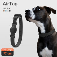 Anti-lost Device Cat And Dog Pet Collar Chain Leather Case