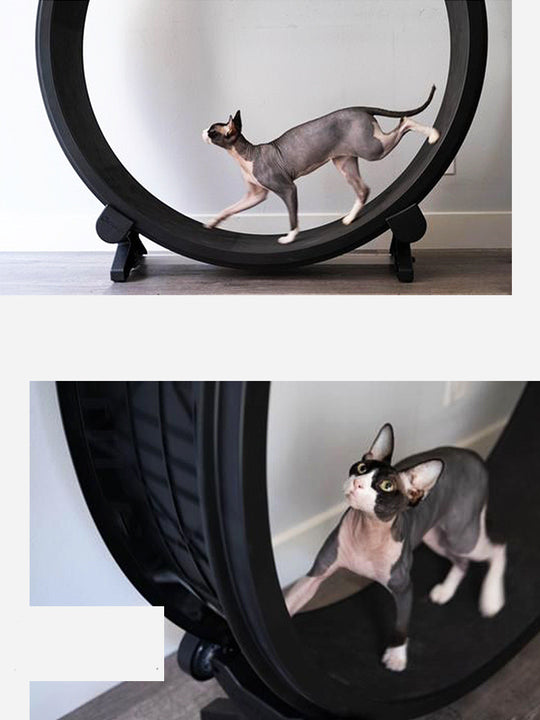 Pet Cat Running Wheel Fitness Toys