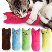 Catnip Chewing Toys